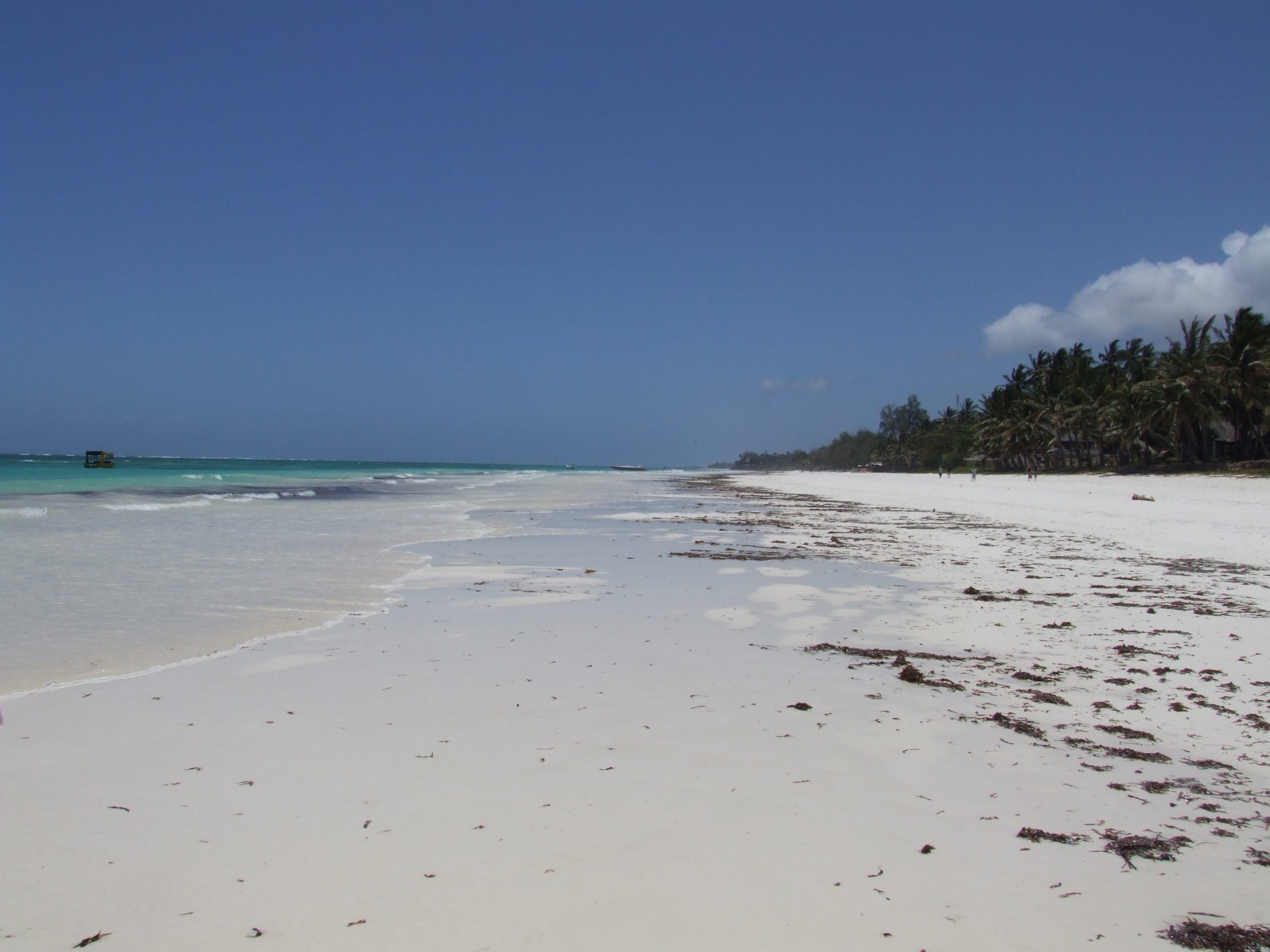 Diani Beach looking north along the waterline: broad white coral sand running to a vanishing point, shallow turquoise lagoon breaking over the reef flat on the left, and a continuous belt of coconut palms with thatched roofs behind the high-water mark on the right. Scattered red-brown seagrass wrack on the sand. Deep blue cloudless sky over about two-thirds of the frame.