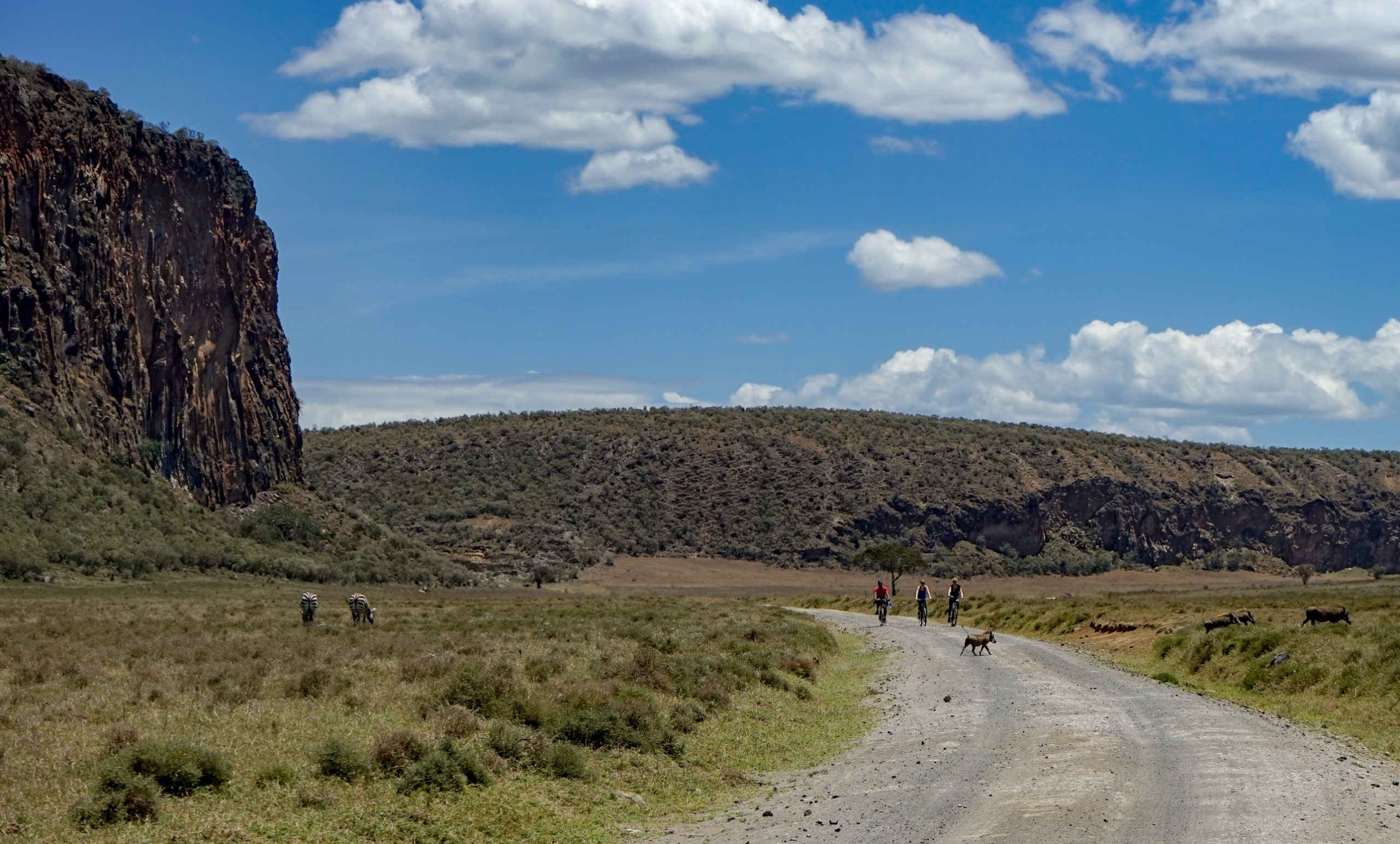 Three cyclists riding abreast up the gravel park road inside Hell's Gate National Park, small against a long scrub-covered ridge with exposed rock buttresses and a big cumulus sky. A lone flat-topped acacia stands beside the road; a warthog is grazing the verge a few metres to their right.