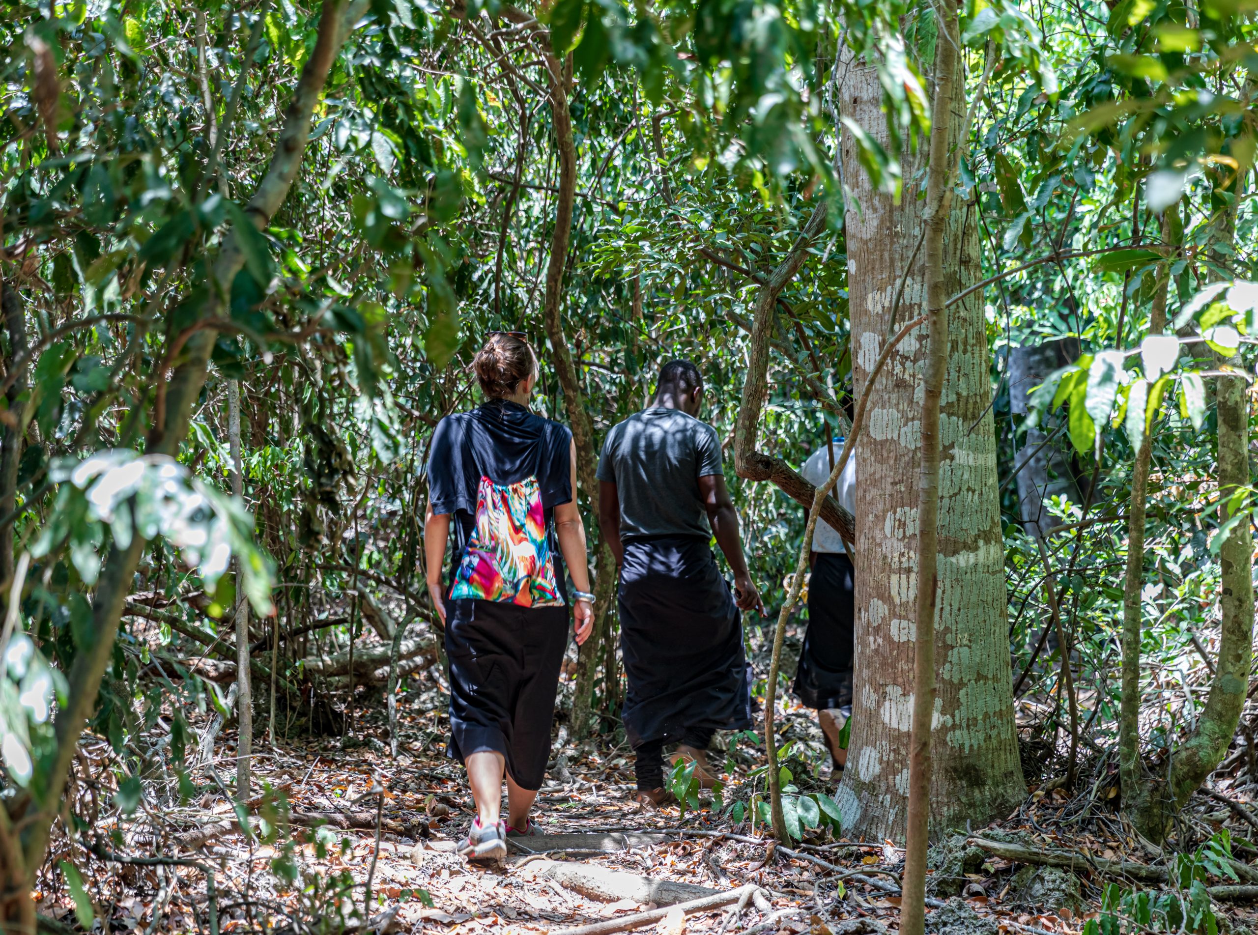 Three visitors walking away from the camera in single file along a leaf-littered path through the dense canopy of Kaya Kinondo sacred forest, each wearing the black kaniki wrap that visitors are required to put on before entering, with smooth pale trunks and low coral rag on either side.