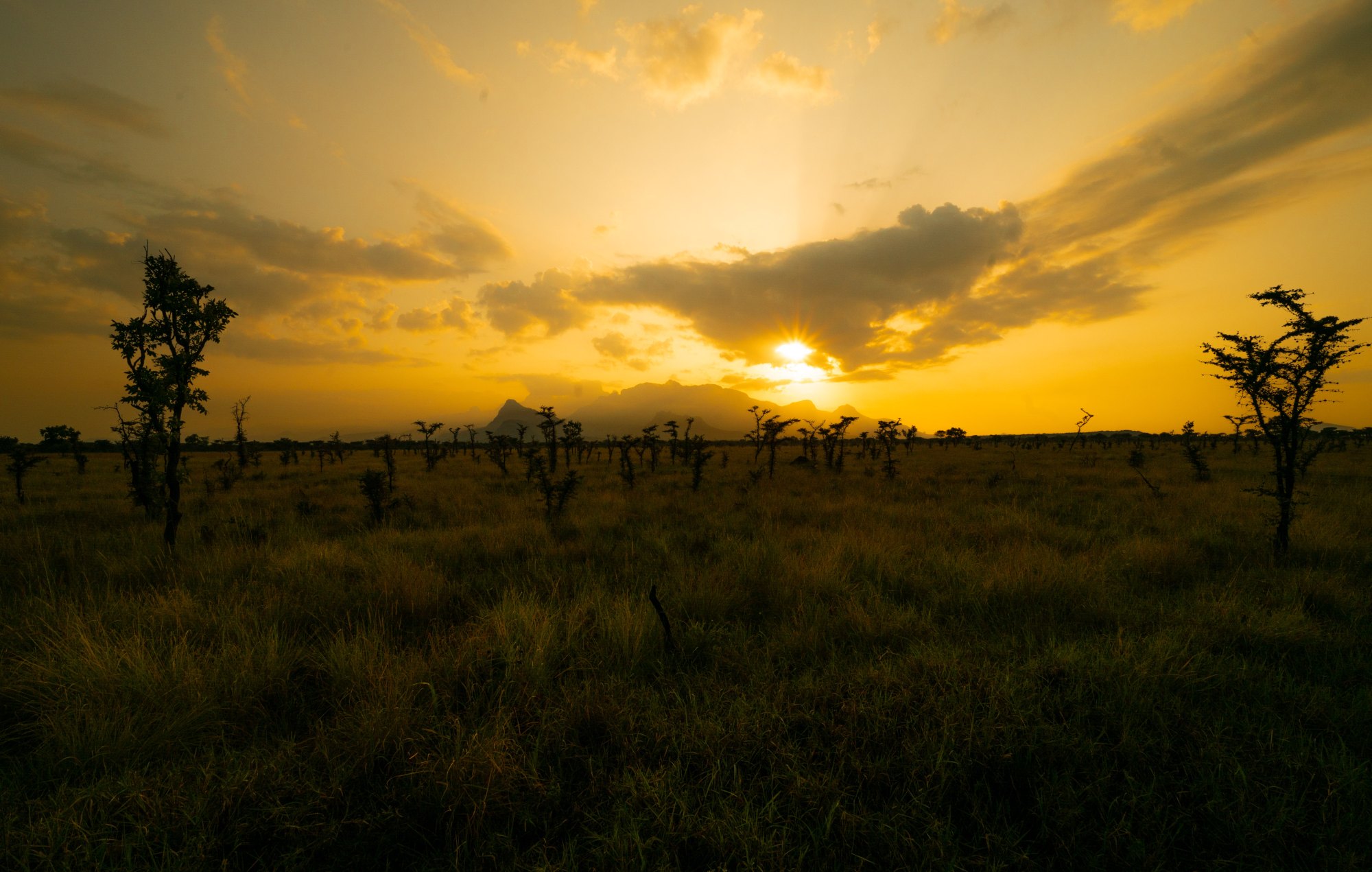 The sun setting through cloud over open savanna, thorn trees and a distant mountain ridge