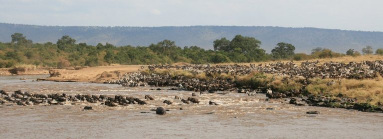 12 Days Best of Kenya Safari