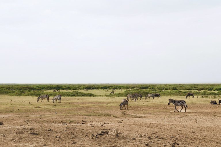 3 Days Masai Mara Safari