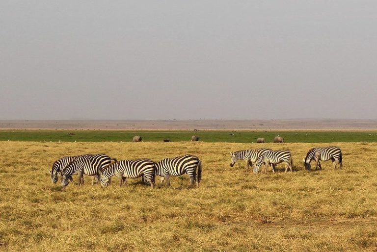 3 Day Safari Masai Mara